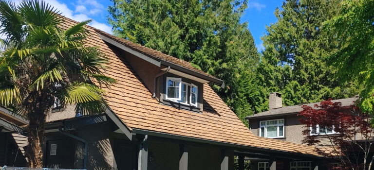 Cedar Roofs Only photo 6